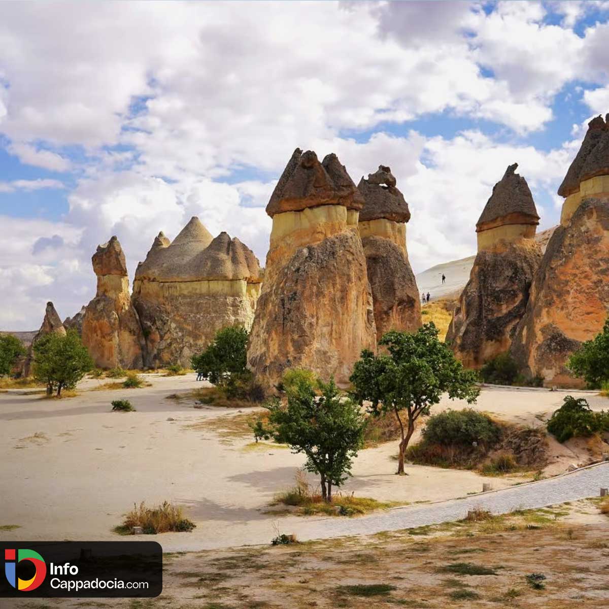Paşabağ (Monks Valley) with multi-headed fairy chimneys in Cappadocia, Turkey